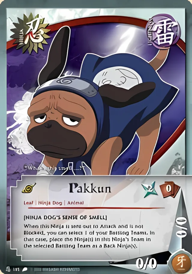 Pakkun