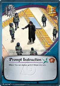 Prompt Instruction