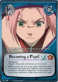 Becoming a Pupil