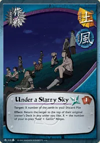 Under a Starry Sky