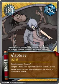 Capture