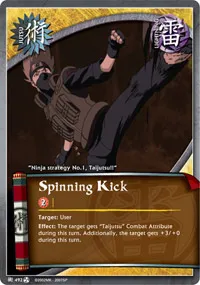 Spinning Kick