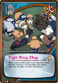 Eight Ninja Dogs