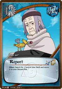 Report
