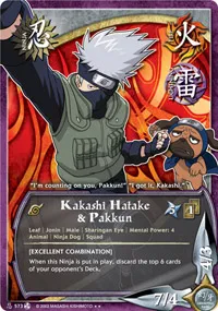 Kakashi Hatake & Pakkun