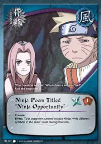 Ninja Poem Titled "Ninja Opportunity"