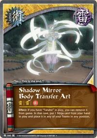 Shadow Mirror Body Transfer Art