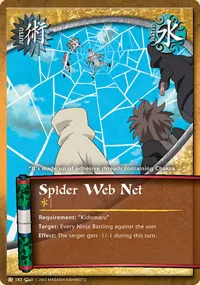 Spider Web Net