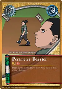Perimeter Barrier