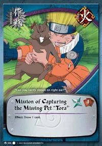 Mission of Capturing the Missing Pet Tora